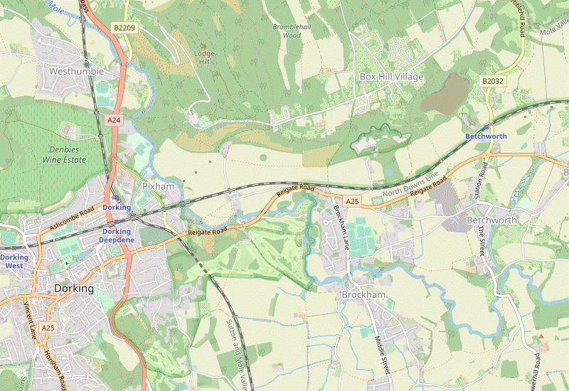 Walk Map: Box Hill Circular, via Betchworth