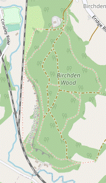 Birchden Wood